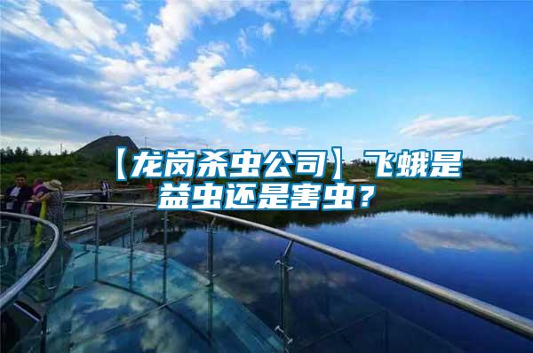 【龍崗殺蟲公司】飛蛾是益蟲還是害蟲？