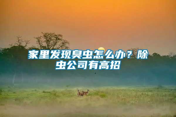 家里發(fā)現(xiàn)臭蟲怎么辦？除蟲公司有高招