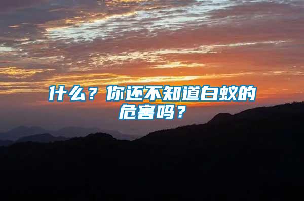 什么？你還不知道白蟻的危害嗎？