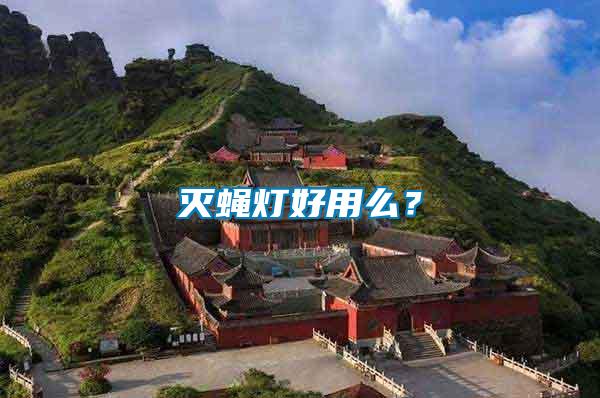 滅蠅燈好用么？