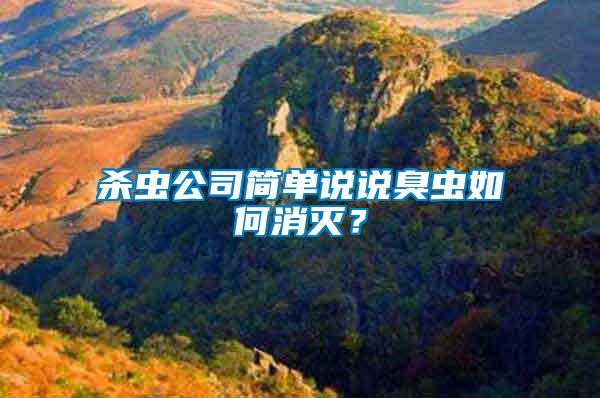 殺蟲公司簡單說說臭蟲如何消滅？