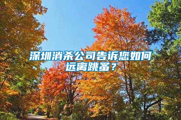 深圳消殺公司告訴您如何遠(yuǎn)離跳蚤？