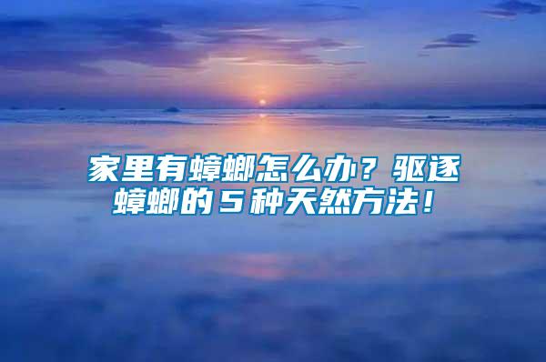 家里有蟑螂怎么辦？驅(qū)逐蟑螂的５種天然方法！