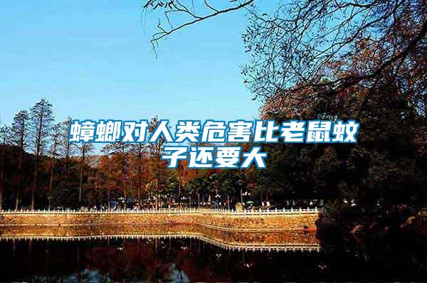 蟑螂對(duì)人類(lèi)危害比老鼠蚊子還要大