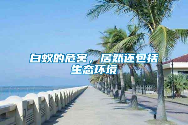 白蟻的危害，居然還包括生態(tài)環(huán)境