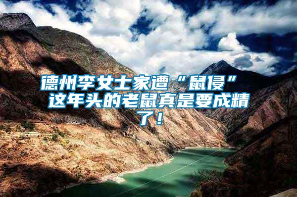德州李女士家遭“鼠侵” 這年頭的老鼠真是要成精了！
