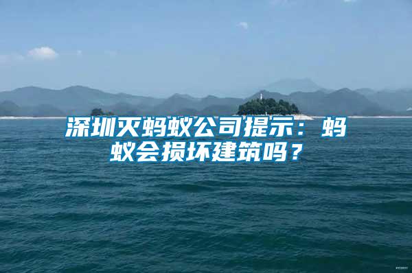 深圳滅螞蟻公司提示：螞蟻會損壞建筑嗎？