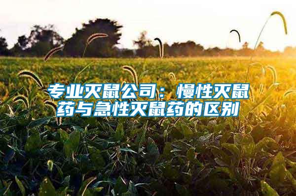 專(zhuān)業(yè)滅鼠公司：慢性滅鼠藥與急性滅鼠藥的區(qū)別