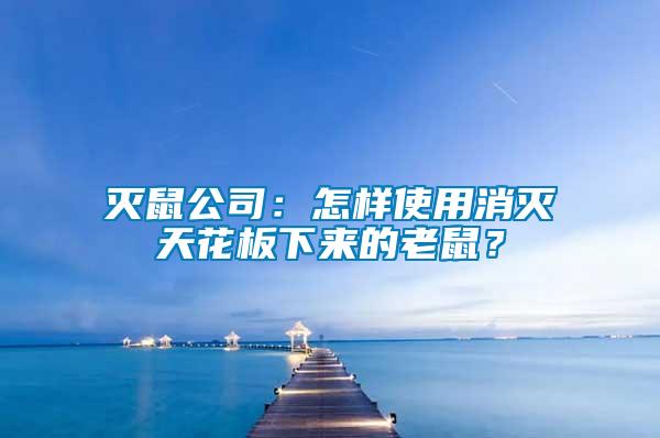滅鼠公司：怎樣使用消滅天花板下來的老鼠？