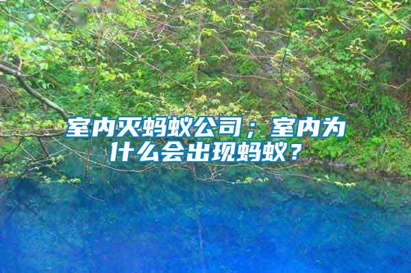 室內(nèi)滅螞蟻公司；室內(nèi)為什么會出現(xiàn)螞蟻？