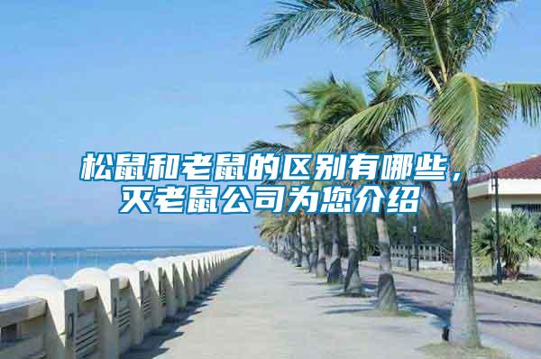 松鼠和老鼠的區(qū)別有哪些，滅老鼠公司為您介紹