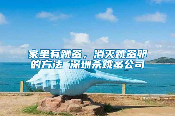 家里有跳蚤，消滅跳蚤卵的方法 深圳殺跳蚤公司