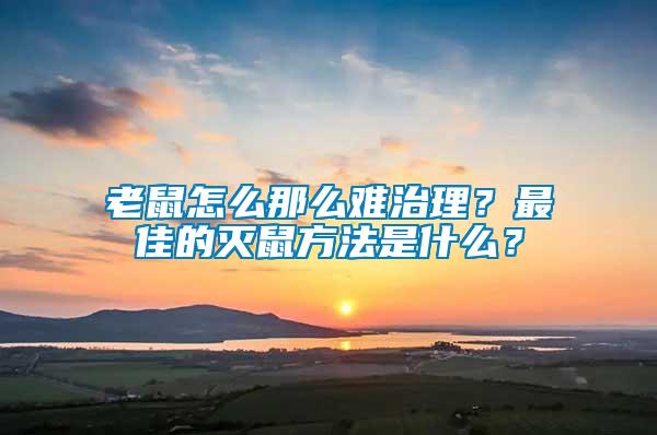 老鼠怎么那么難治理？最佳的滅鼠方法是什么？