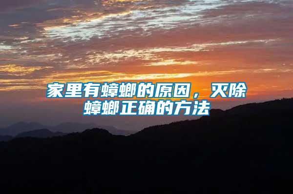 家里有蟑螂的原因，滅除蟑螂正確的方法