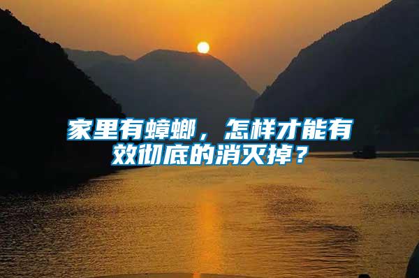 家里有蟑螂，怎樣才能有效徹底的消滅掉？