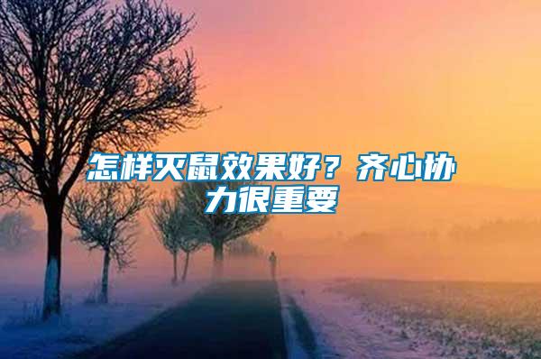怎樣滅鼠效果好？齊心協(xié)力很重要
