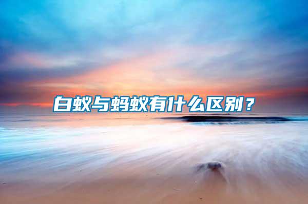 白蟻與螞蟻有什么區(qū)別？