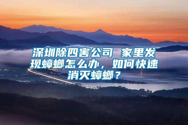 深圳除四害公司 家里發(fā)現(xiàn)蟑螂怎么辦，如何快速消滅蟑螂？