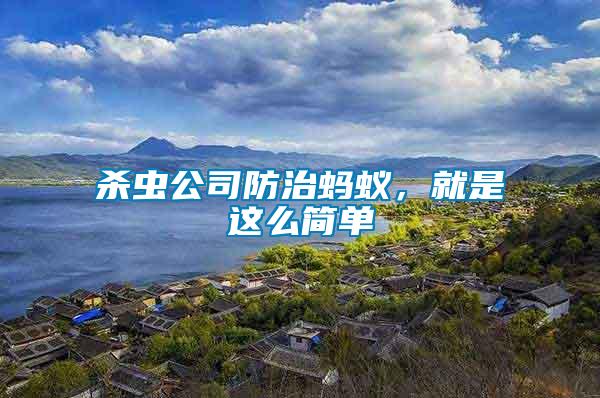 殺蟲公司防治螞蟻，就是這么簡單