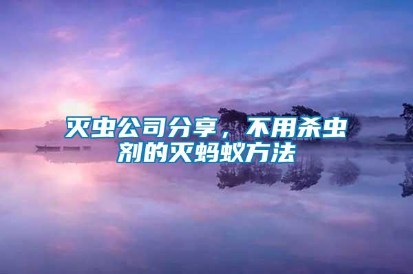 滅蟲公司分享，不用殺蟲劑的滅螞蟻方法