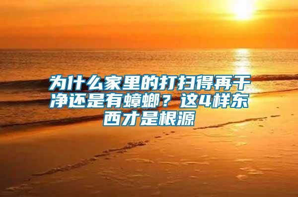 為什么家里的打掃得再干凈還是有蟑螂？這4樣?xùn)|西才是根源