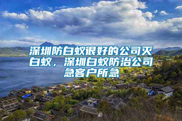 深圳防白蟻很好的公司滅白蟻，深圳白蟻防治公司急客戶所急