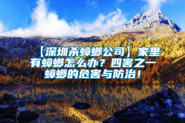 【深圳殺蟑螂公司】家里有蟑螂怎么辦？四害之一蟑螂的危害與防治！