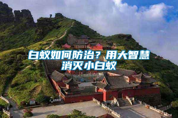 白蟻如何防治？用大智慧消滅小白蟻