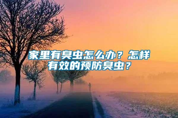 家里有臭蟲怎么辦？怎樣有效的預(yù)防臭蟲？