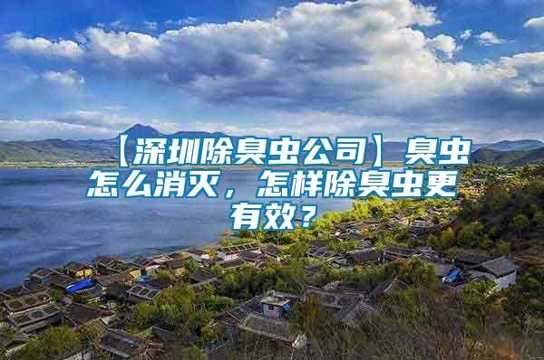 【深圳除臭蟲公司】臭蟲怎么消滅，怎樣除臭蟲更有效？