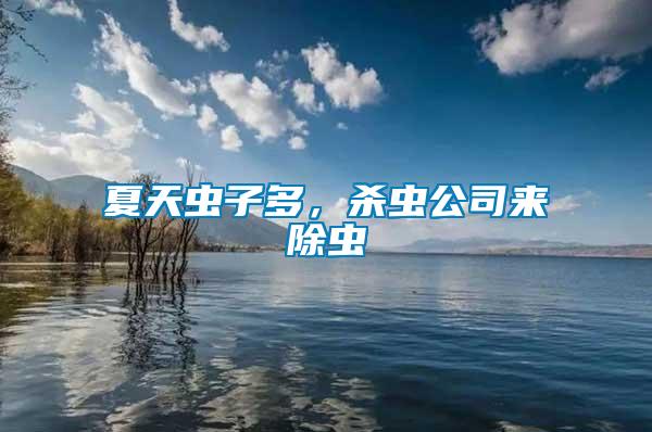 夏天蟲子多，殺蟲公司來除蟲