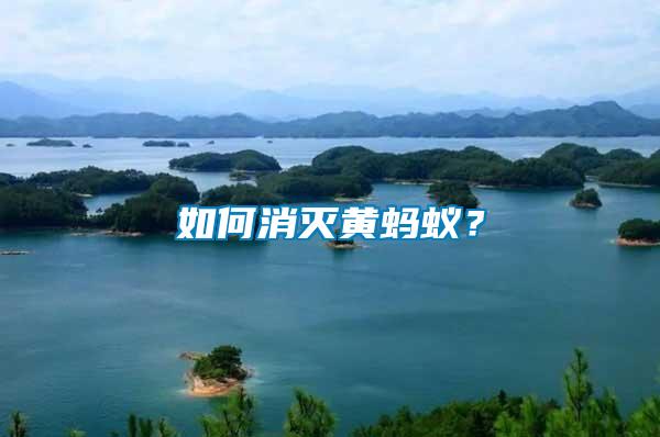 如何消滅黃螞蟻？