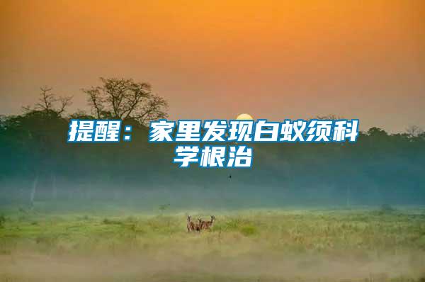 提醒：家里發(fā)現(xiàn)白蟻須科學(xué)根治
