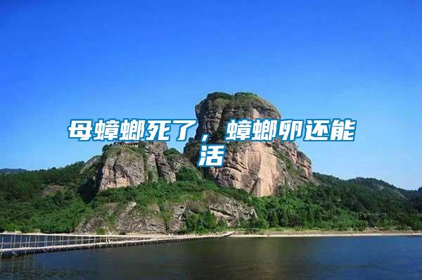 母蟑螂死了，蟑螂卵還能活
