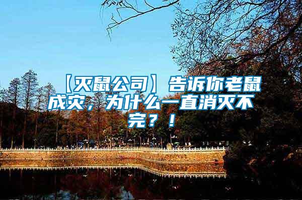 【滅鼠公司】告訴你老鼠成災(zāi)，為什么一直消滅不完？！
