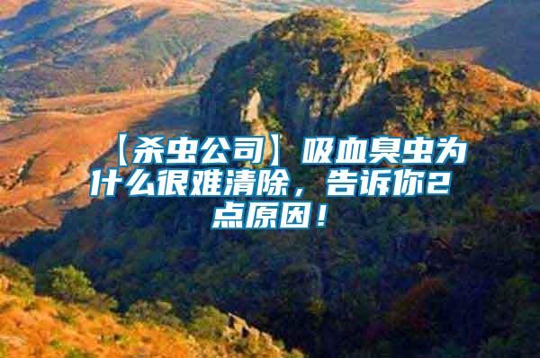 【殺蟲公司】吸血臭蟲為什么很難清除，告訴你2點(diǎn)原因！