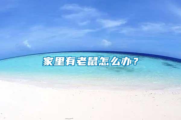 家里有老鼠怎么辦？