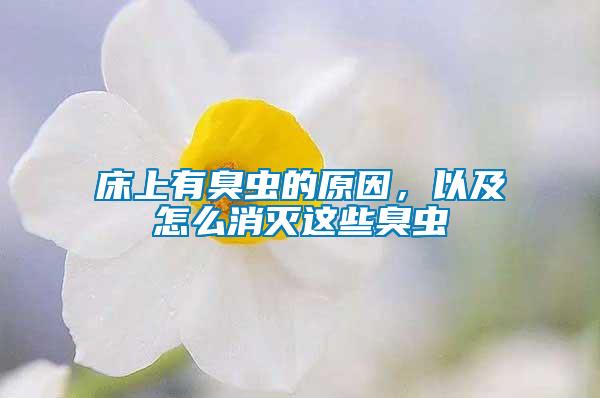 床上有臭蟲的原因，以及怎么消滅這些臭蟲