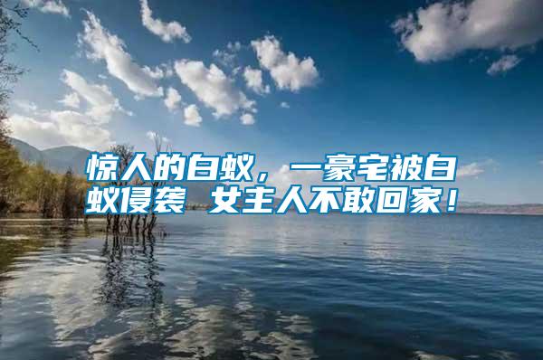 驚人的白蟻，一豪宅被白蟻侵襲 女主人不敢回家！