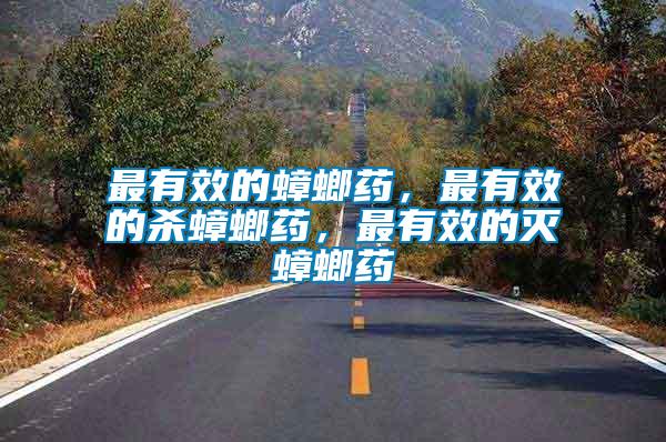 最有效的蟑螂藥，最有效的殺蟑螂藥，最有效的滅蟑螂藥
