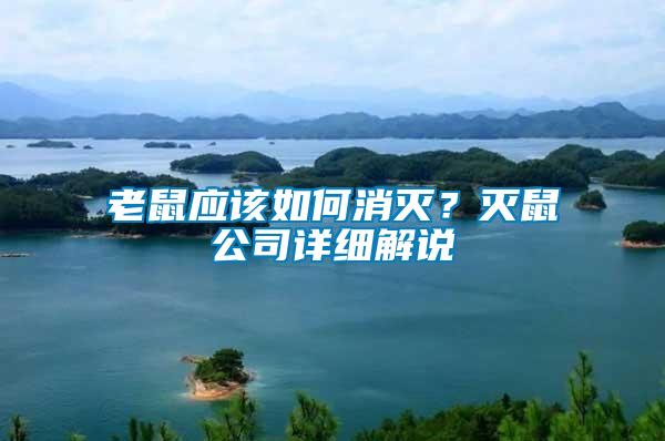 老鼠應(yīng)該如何消滅？滅鼠公司詳細(xì)解說