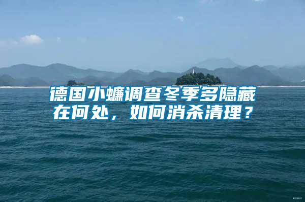 德國小蠊調(diào)查冬季多隱藏在何處，如何消殺清理？