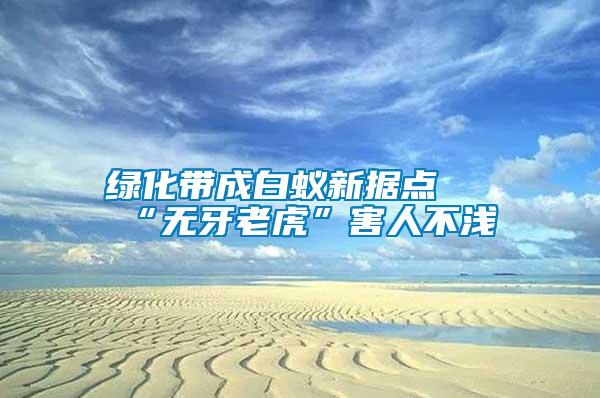 綠化帶成白蟻新?lián)c “無牙老虎”害人不淺