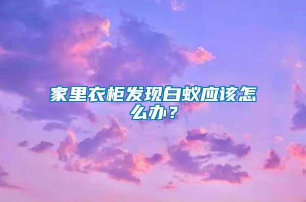 家里衣柜發(fā)現(xiàn)白蟻應(yīng)該怎么辦？
