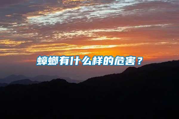 蟑螂有什么樣的危害？