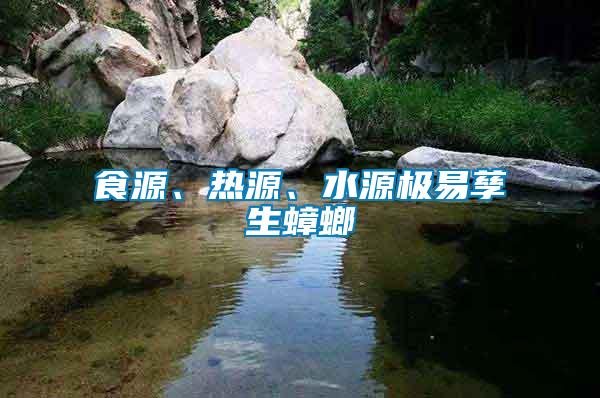 食源、熱源、水源極易孳生蟑螂