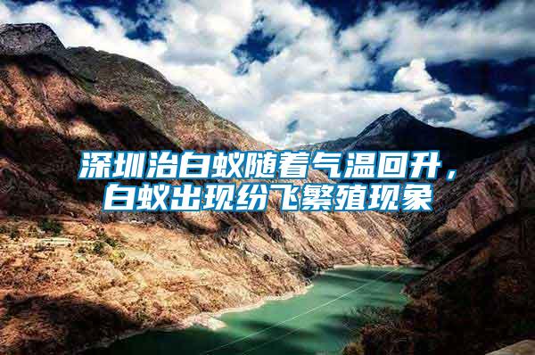 深圳治白蟻隨著氣溫回升，白蟻出現(xiàn)紛飛繁殖現(xiàn)象