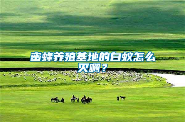 蜜蜂養(yǎng)殖基地的白蟻怎么滅啊？