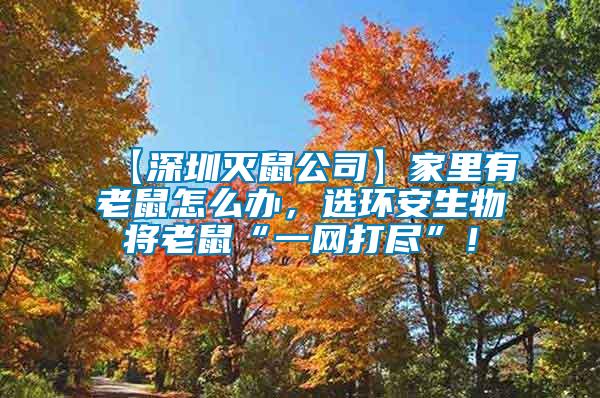 【深圳滅鼠公司】家里有老鼠怎么辦，選環(huán)安生物將老鼠“一網(wǎng)打盡”！