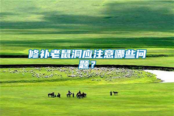 修補(bǔ)老鼠洞應(yīng)注意哪些問題？